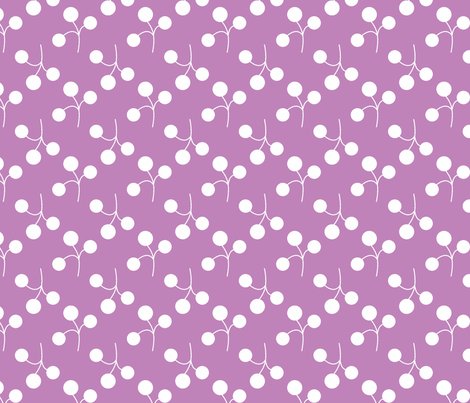 Berries_shop_preview
