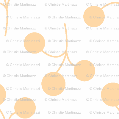 orange berries on white
