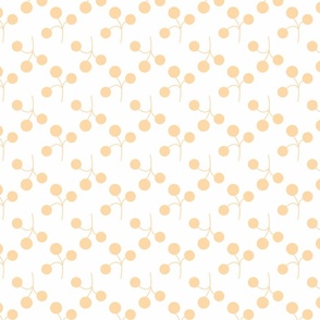 orange berries on white