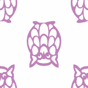 lilac owls