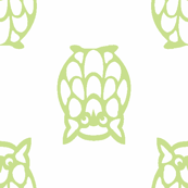 grass owls