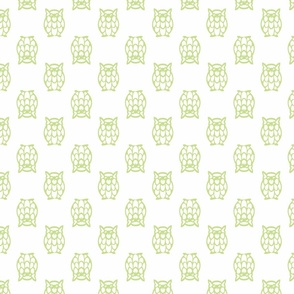 grass owls