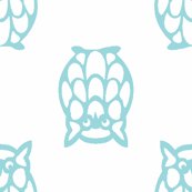 turquoise owls