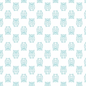 turquoise owls