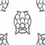 gray owls