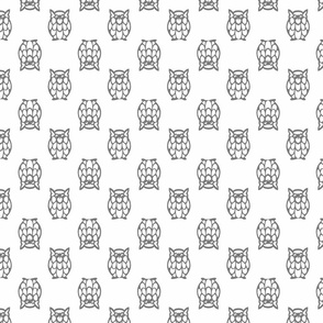 gray owls