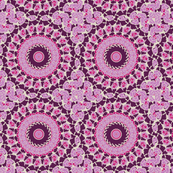 plum_starburst