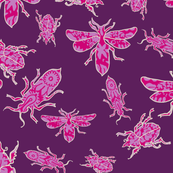BROCADE_BUGS_plum