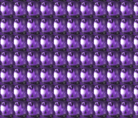 persian-cat-11__1_ fabric by grandaddynebula@yahoo_com on Spoonflower - custom fabric
