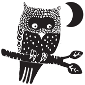 Halloween Owl