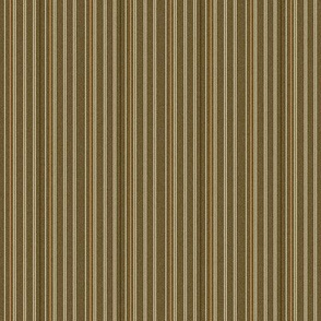 Armadillo Stripe