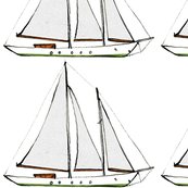 Shearwaterd_shop_thumb