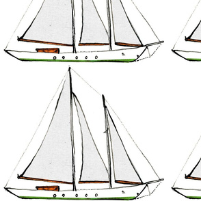 shearwaterD