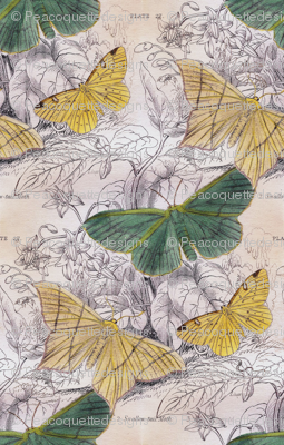 Moth Ridden Botanical 