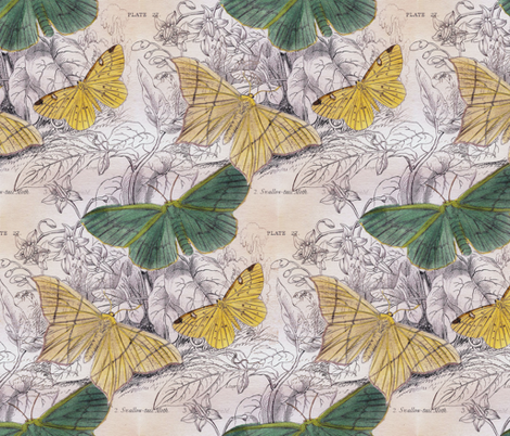 Moth Ridden Botanical  fabric by peacoquettedesigns on Spoonflower - custom fabric