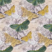 Rmoths_canvas_1_shop_thumb