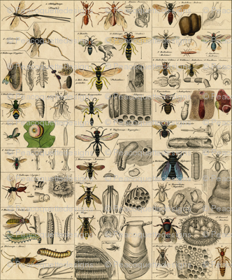I Am Bugging Out In Historic Proportions! 