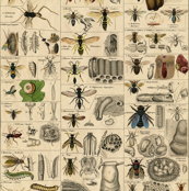 I Am Bugging Out In Historic Proportions! 