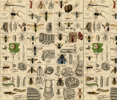 I Am Bugging Out In Historic Proportions!  fabric by peacoquettedesigns on Spoonflower - custom fabric