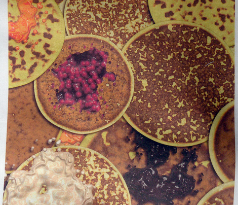 Rrgotpancakes12x12-300_comment_218671_preview