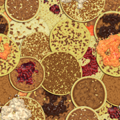 Got Pancakes?