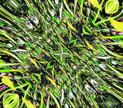 Wild Willow Leaves