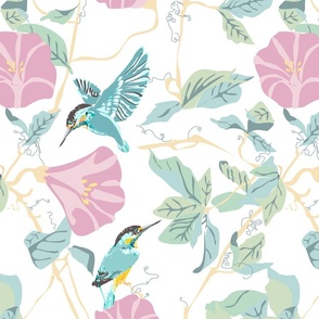Kingfisher_soft