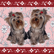 Yorkies and flowers