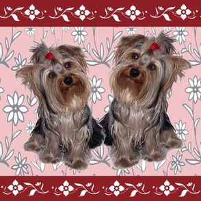 Yorkies and flowers