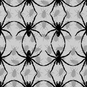 Spider_Dance_grey