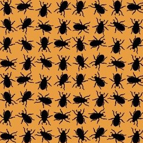 Beetle Boogie Black