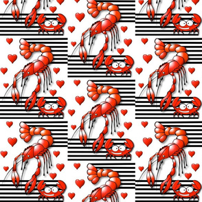 crustacean infatuation  