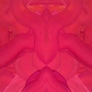 "Animal" 1