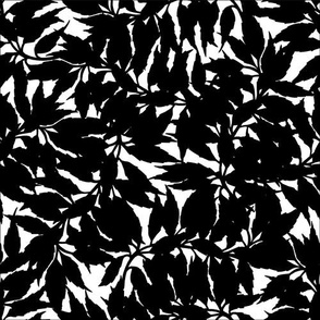 Jagged Branches White