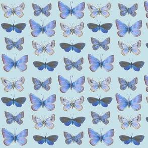 blues on blue