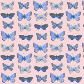 small butterflies, sunrise-F5CCD3
