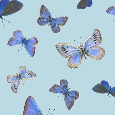 blues on blue -BCDAE4 fabric by weavingmajor on Spoonflower - custom fabric