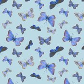R0_butterflies3b_toss-bcdae4_shop_thumb