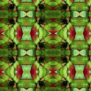 LEAVES_OF_HAWAII__12_