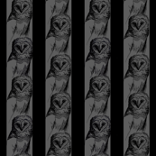 Wallpaper Snow Owl Sketch Medium in Grey and Black