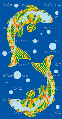 New koi