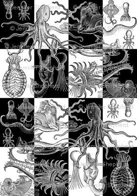 Antique Horrors of the Deep - Large Check