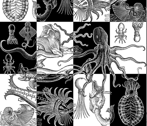 Antique Horrors of the Deep - Large Check fabric by jenithea on Spoonflower - custom fabric