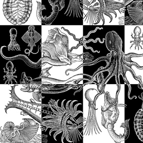 Antique Horrors of the Deep - Large Check