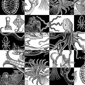 Antique Horrors of the Deep - Medium Check