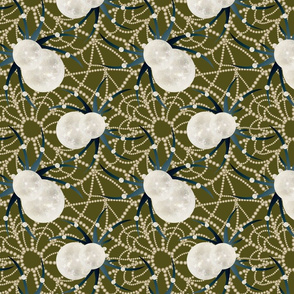 glamorous spiderweb on green