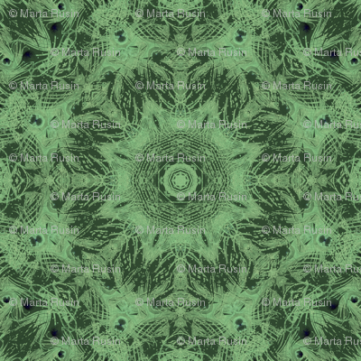 peacock kaleidoscope