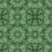 Peacockpolks_dot18_shop_thumb