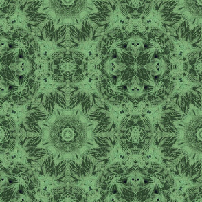 peacock kaleidoscope
