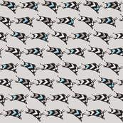 Stampede blue